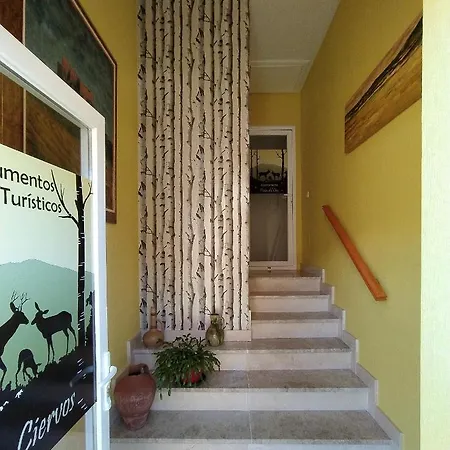 Ciervos - Cueva Valiente *