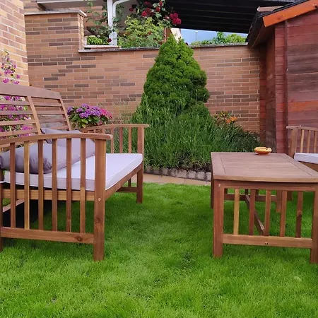 Ciervos - Cueva Valiente El Espinar