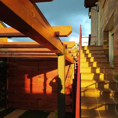 Ciervos - Cueva Valiente *