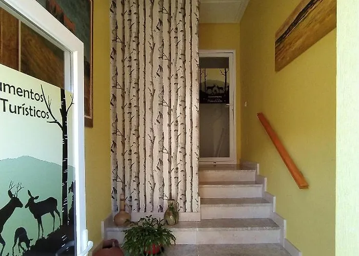 Ciervos - Cueva Valiente *