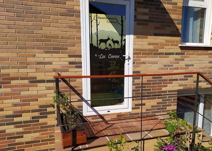 Ciervos - Cueva Valiente El Espinar