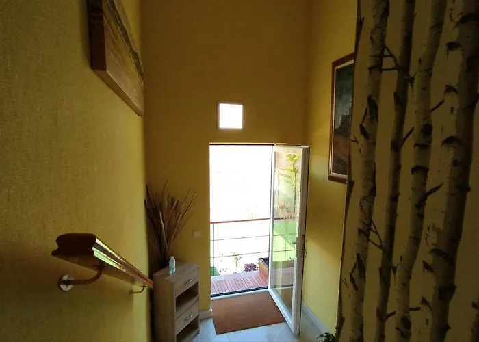 Ciervos - Cueva Valiente