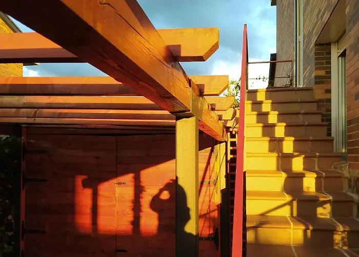 Ciervos - Cueva Valiente *